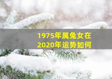 1975年属兔女在2020年运势如何