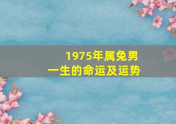 1975年属兔男一生的命运及运势