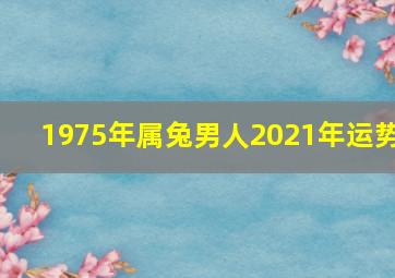 1975年属兔男人2021年运势