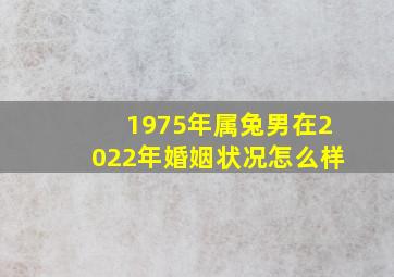 1975年属兔男在2022年婚姻状况怎么样