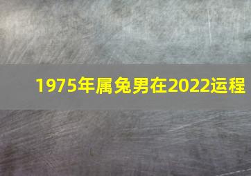 1975年属兔男在2022运程