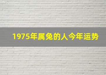 1975年属兔的人今年运势