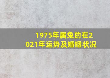 1975年属兔的在2021年运势及婚姻状况