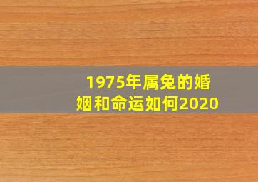 1975年属兔的婚姻和命运如何2020