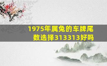 1975年属兔的车牌尾数选择313313好吗