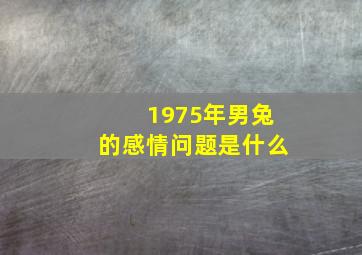 1975年男兔的感情问题是什么