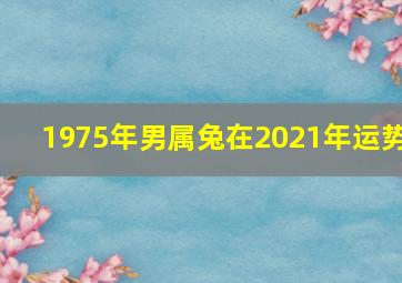 1975年男属兔在2021年运势