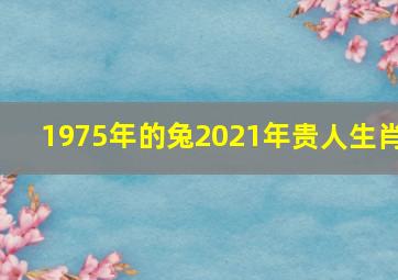 1975年的兔2021年贵人生肖