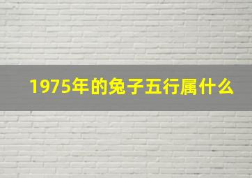 1975年的兔子五行属什么