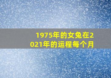 1975年的女兔在2021年的运程每个月