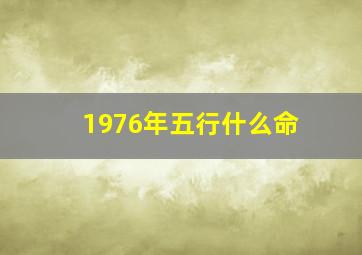 1976年五行什么命