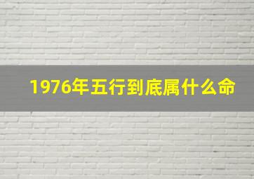 1976年五行到底属什么命