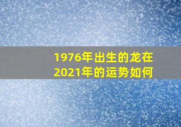 1976年出生的龙在2021年的运势如何