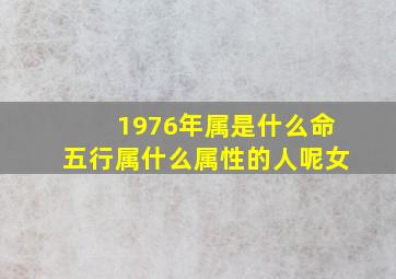 1976年属是什么命五行属什么属性的人呢女