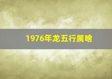 1976年龙五行属啥