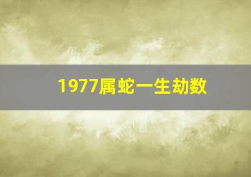 1977属蛇一生劫数