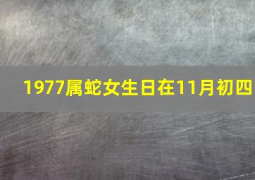 1977属蛇女生日在11月初四