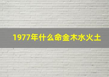 1977年什么命金木水火土