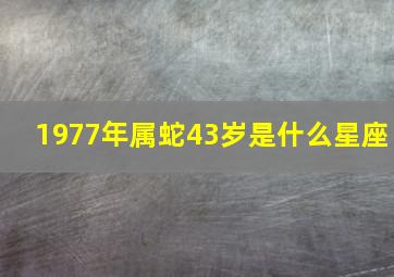 1977年属蛇43岁是什么星座