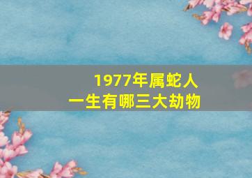 1977年属蛇人一生有哪三大劫物