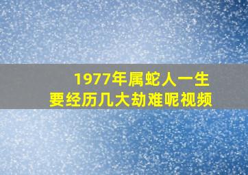 1977年属蛇人一生要经历几大劫难呢视频