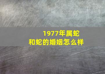 1977年属蛇和蛇的婚姻怎么样