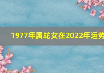 1977年属蛇女在2022年运势