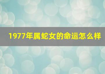 1977年属蛇女的命运怎么样