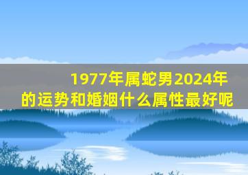 1977年属蛇男2024年的运势和婚姻什么属性最好呢