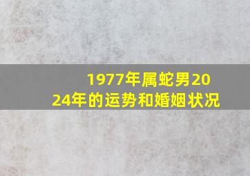 1977年属蛇男2024年的运势和婚姻状况