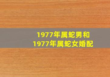 1977年属蛇男和1977年属蛇女婚配