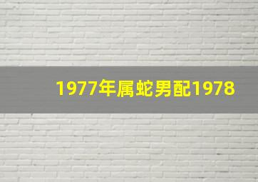 1977年属蛇男配1978