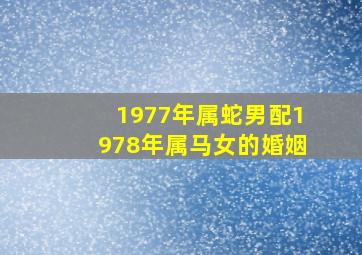 1977年属蛇男配1978年属马女的婚姻