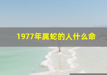 1977年属蛇的人什么命