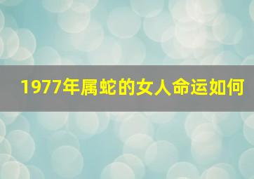 1977年属蛇的女人命运如何