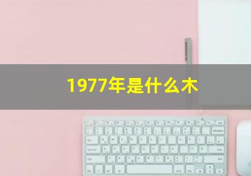 1977年是什么木