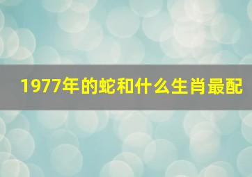 1977年的蛇和什么生肖最配