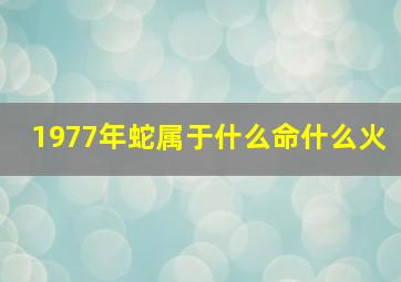 1977年蛇属于什么命什么火