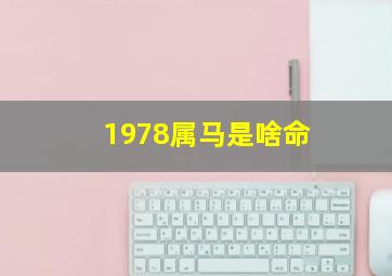 1978属马是啥命