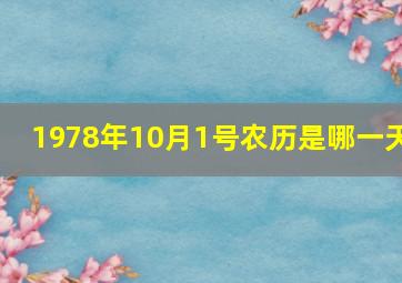 1978年10月1号农历是哪一天