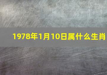 1978年1月10日属什么生肖