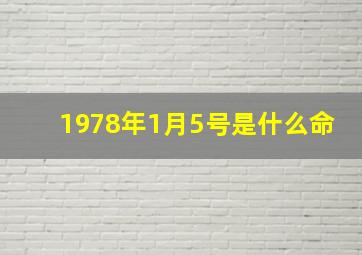 1978年1月5号是什么命