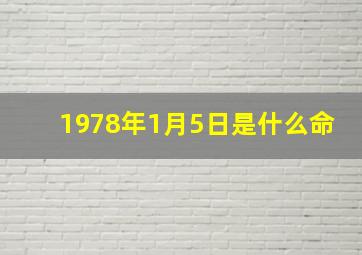 1978年1月5日是什么命