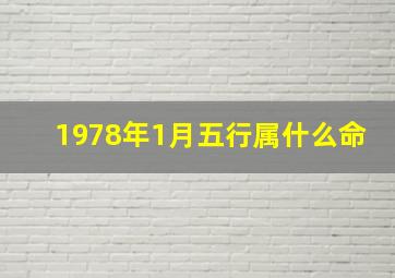 1978年1月五行属什么命