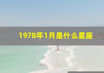 1978年1月是什么星座