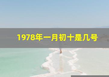 1978年一月初十是几号