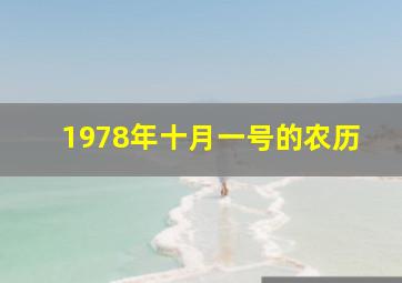 1978年十月一号的农历