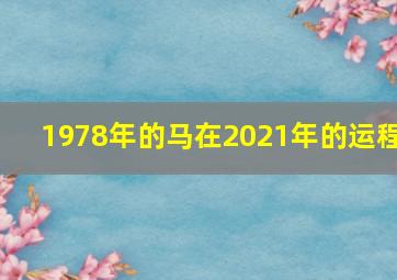 1978年的马在2021年的运程