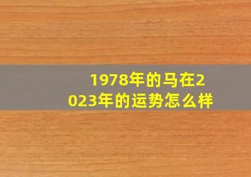 1978年的马在2023年的运势怎么样