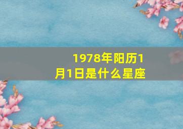 1978年阳历1月1日是什么星座